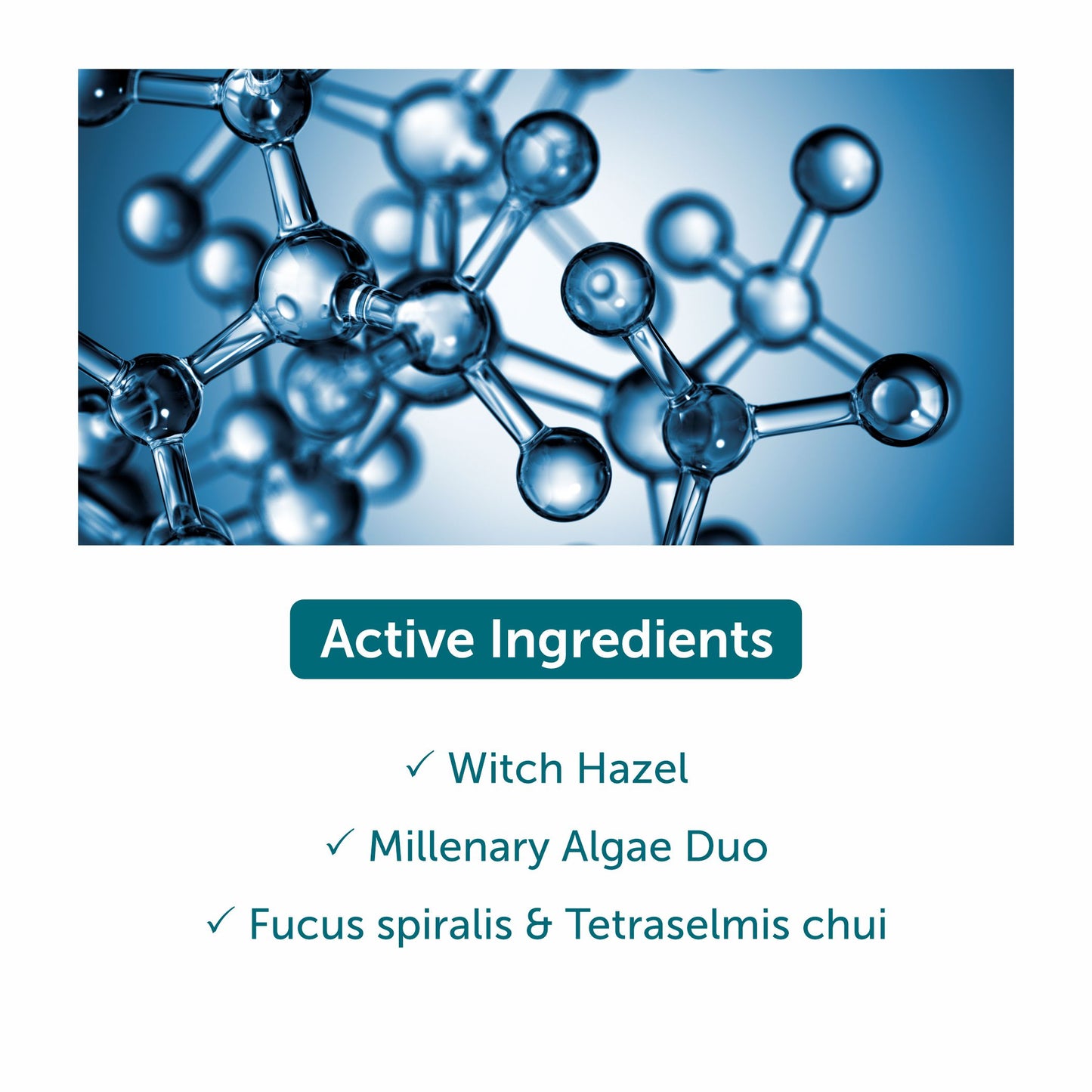 Thalgo Absolute Purifying Mask - 40ml