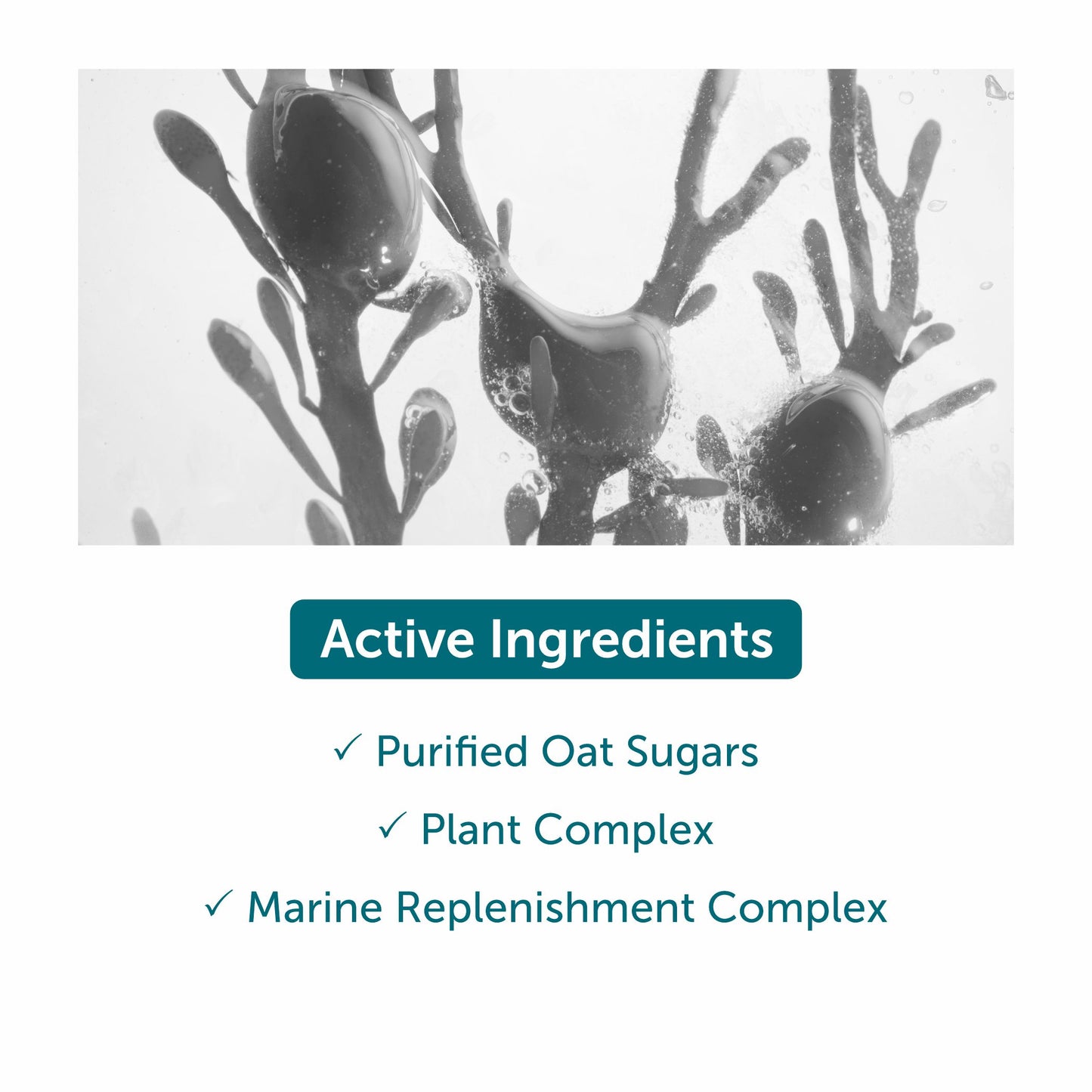 Thalgo Eyelid Lifting Cream - 15ml