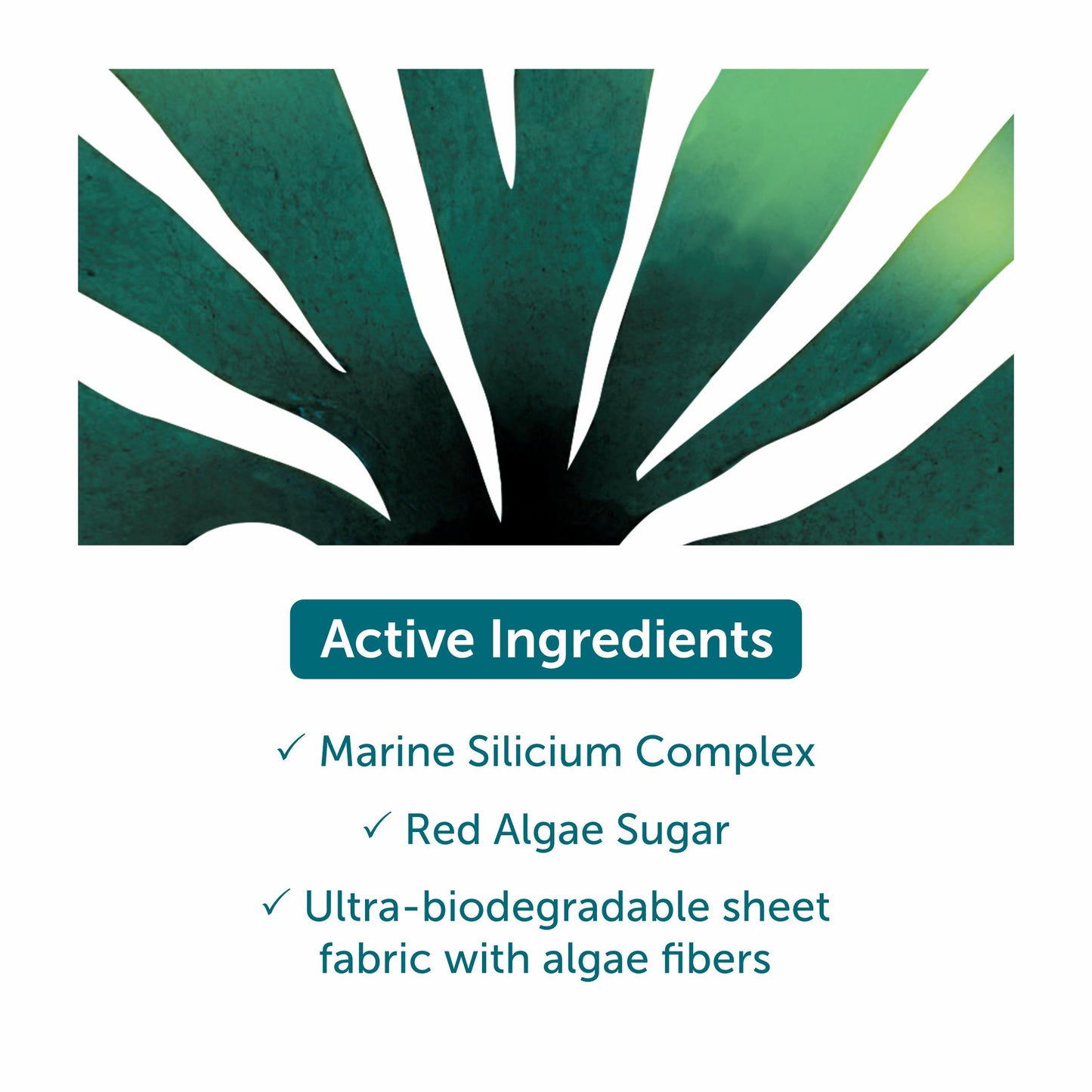 Thalgo Flash Lift Shot Mask - 20ml