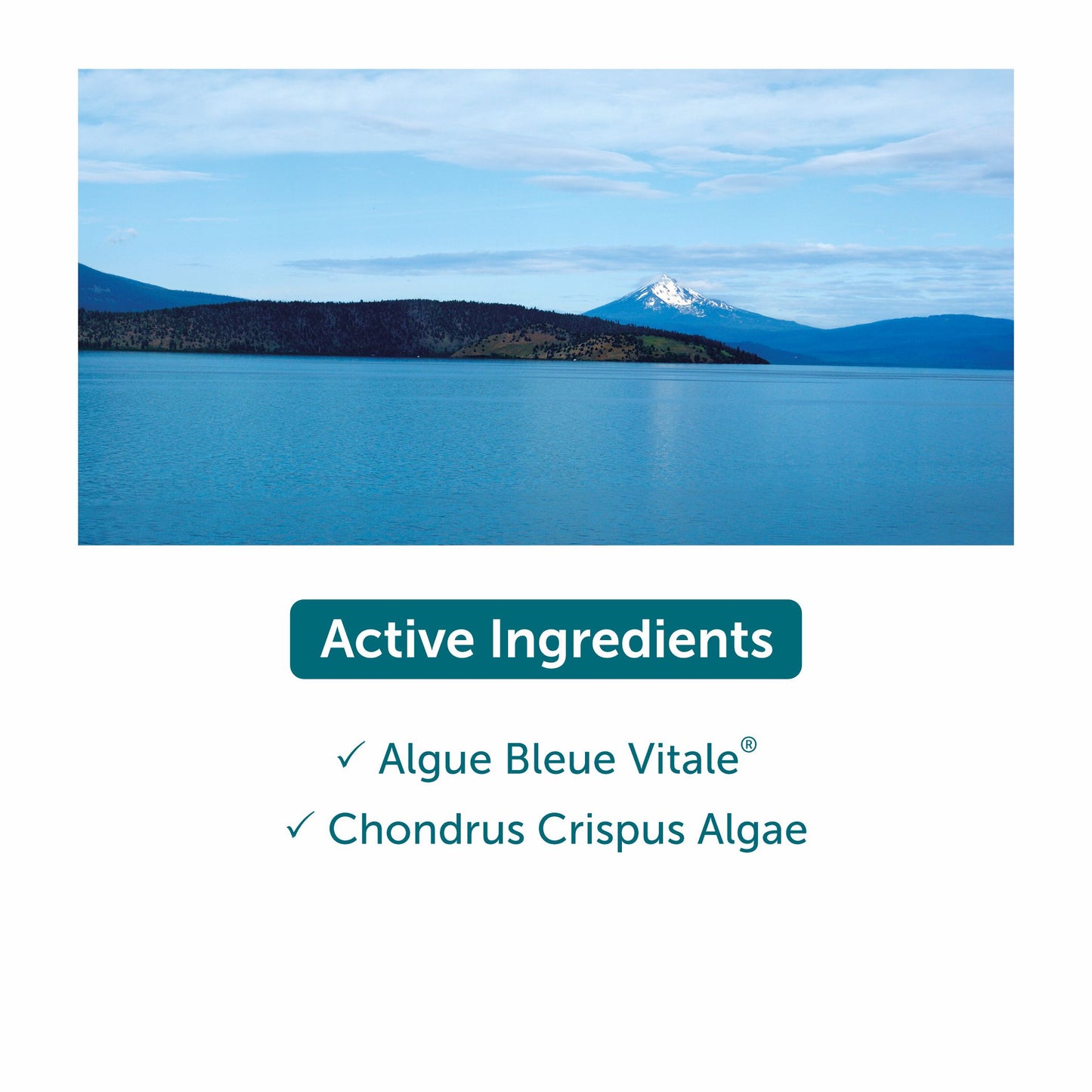 Thalgo Intensive Hydrating Cream - 50ml