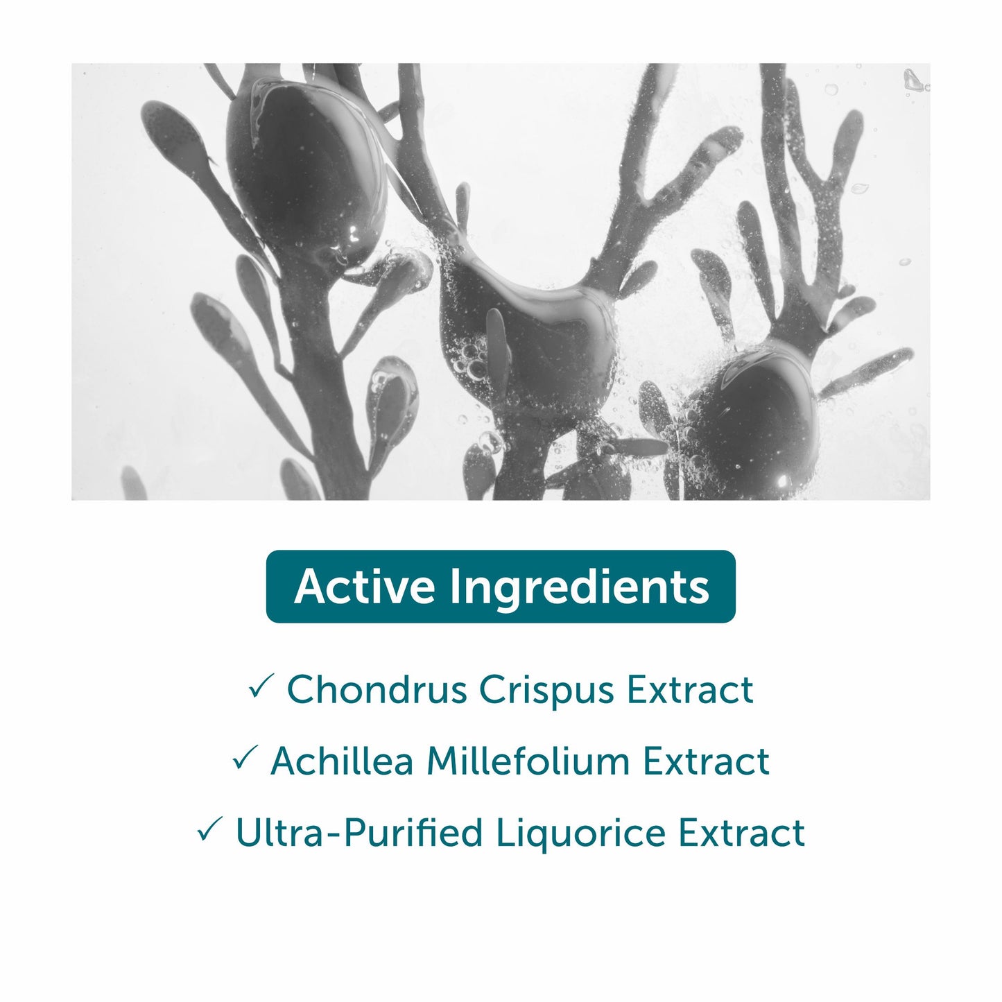 Thalgo Intensive Redensifying Serum - 30ml