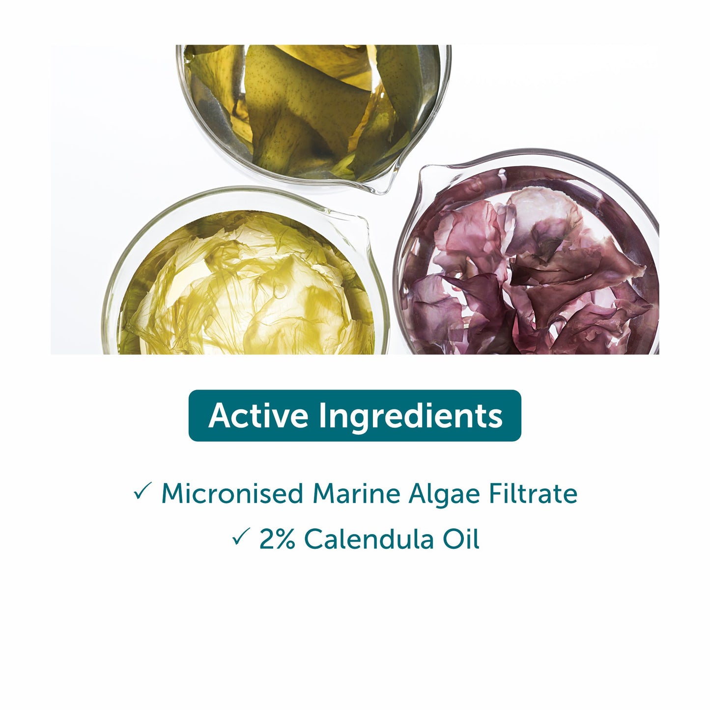 Thalgo Marine Algae Solid Cleanser - 100g