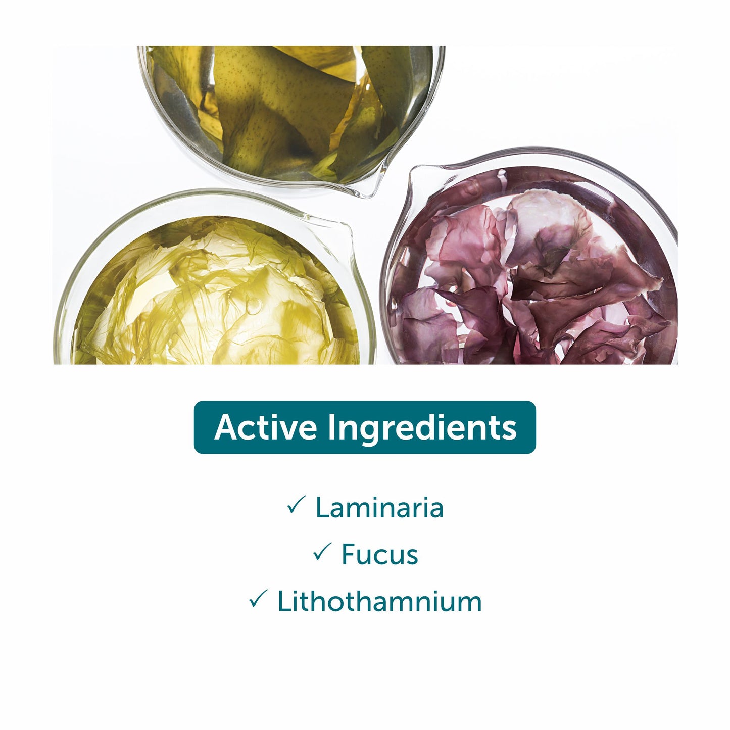 Thalgo Micronized Marine Algae Powder - 10*40g