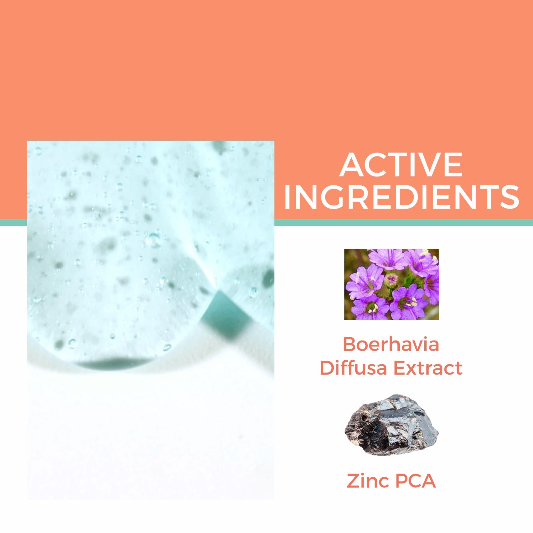 active ingredients Boerhavia Diffusa Extract and Zinc PCA.