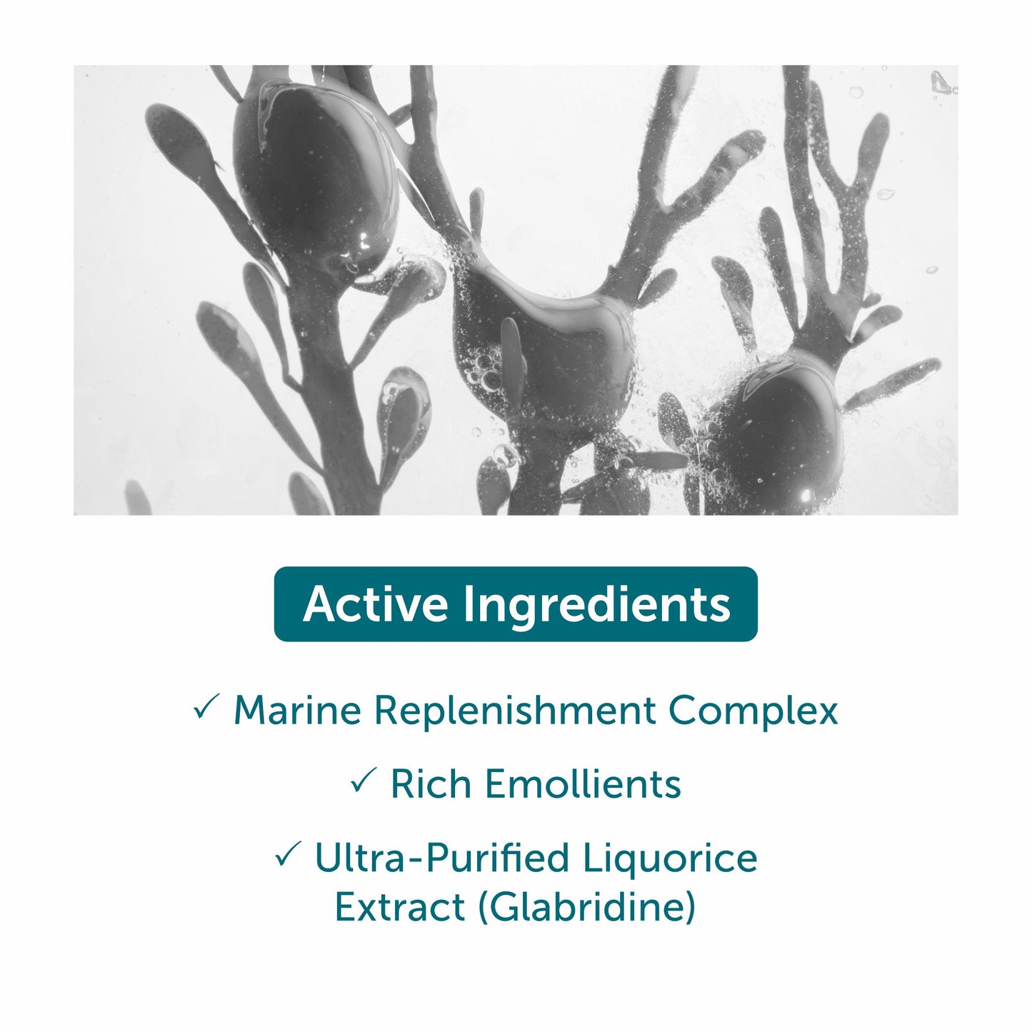 Thalgo Redensifying Rich Cream - 50ml