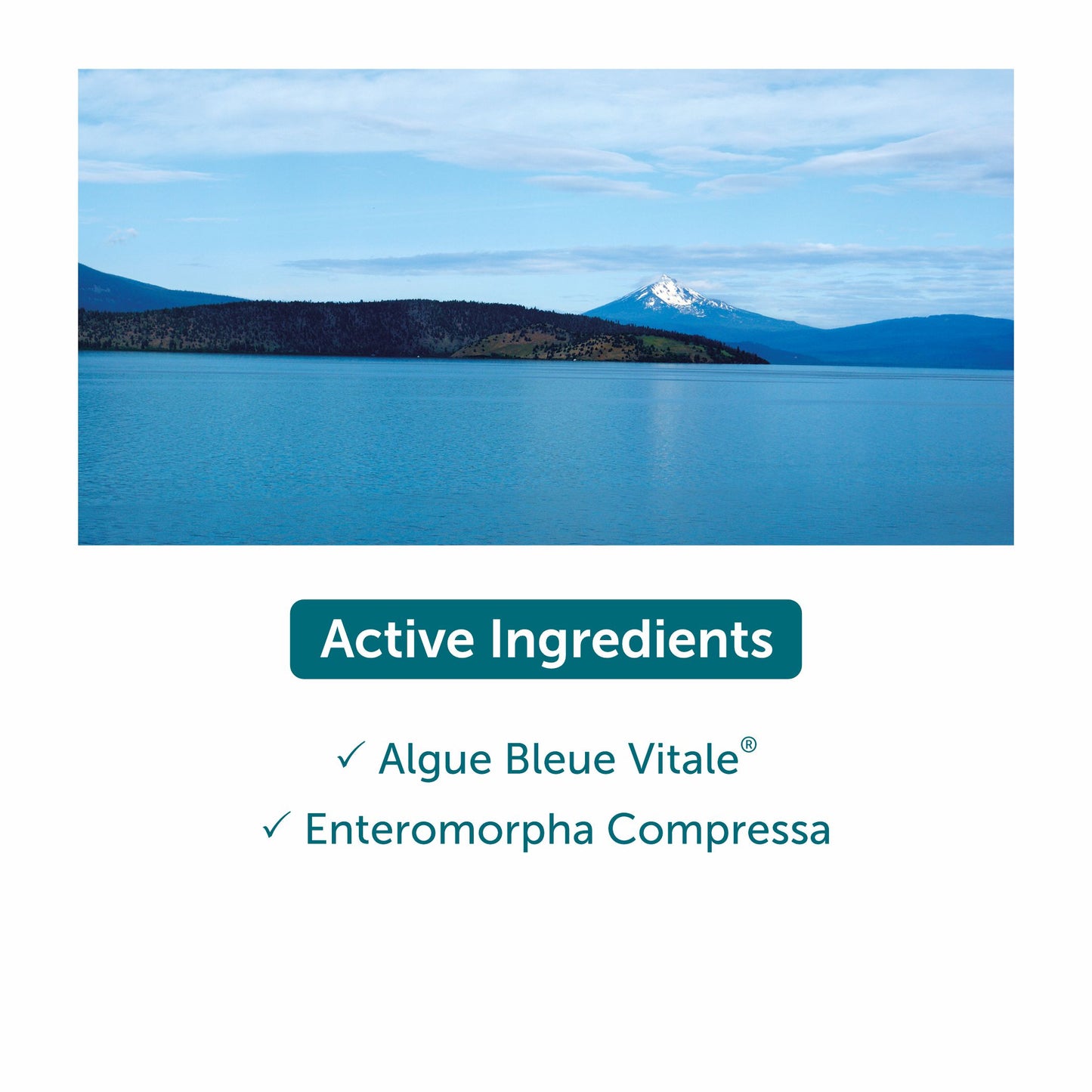 Thalgo Wake-Up Shower Gel - 200ml